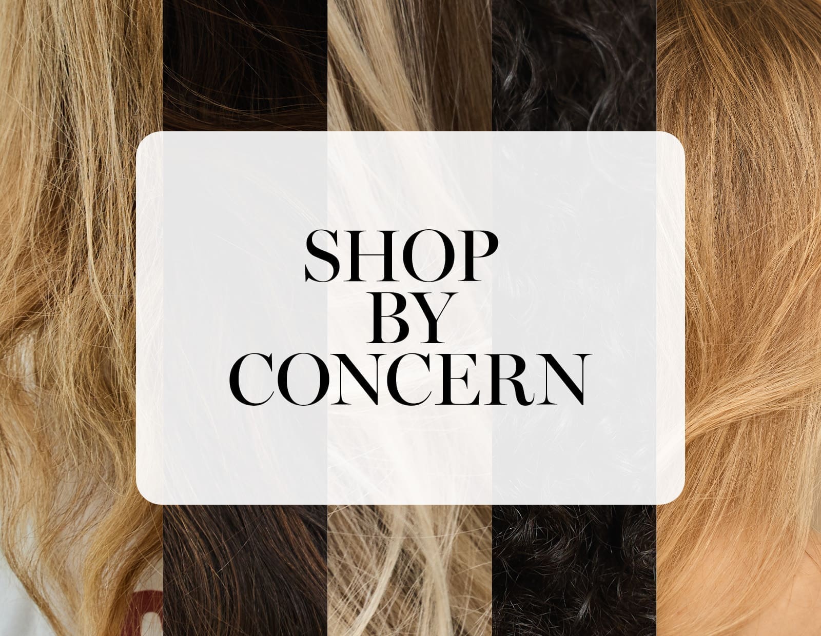 Image of Shop By Concern