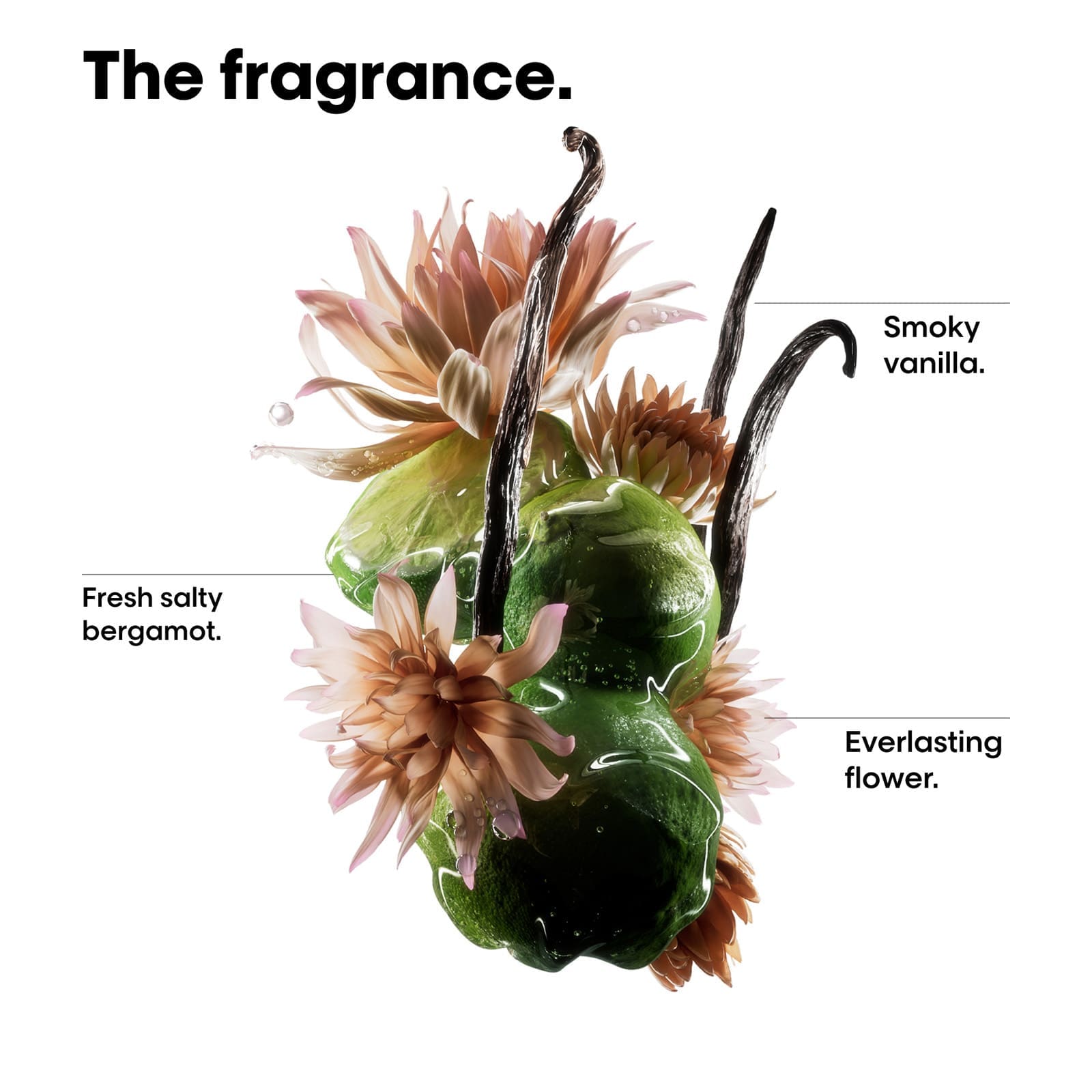 Image of Absolut Repair Molecular Bi-Phase Oil - 90ml