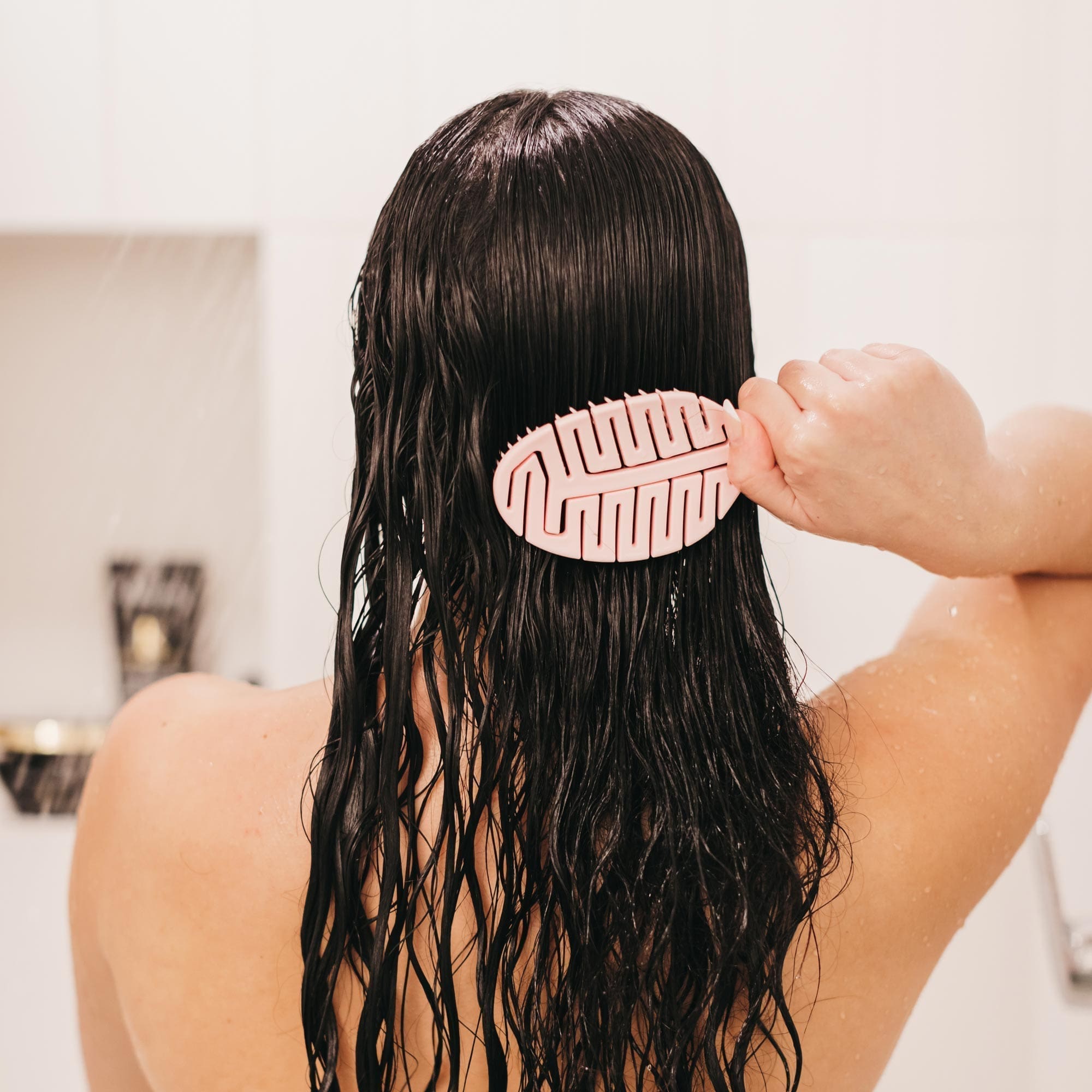 Image of The Pomme Brush English Rose