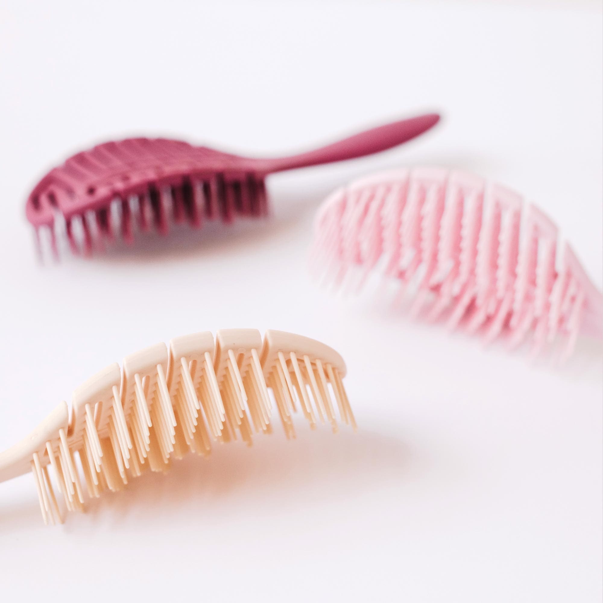 Image of The Pomme Brush English Rose