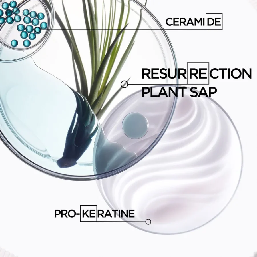 Laboratory glassware containing liquids and a plant, highlighting ingredients such as ceramide, resurrection plant sap, and pro-keratin for cosmetic or scientific purposes.