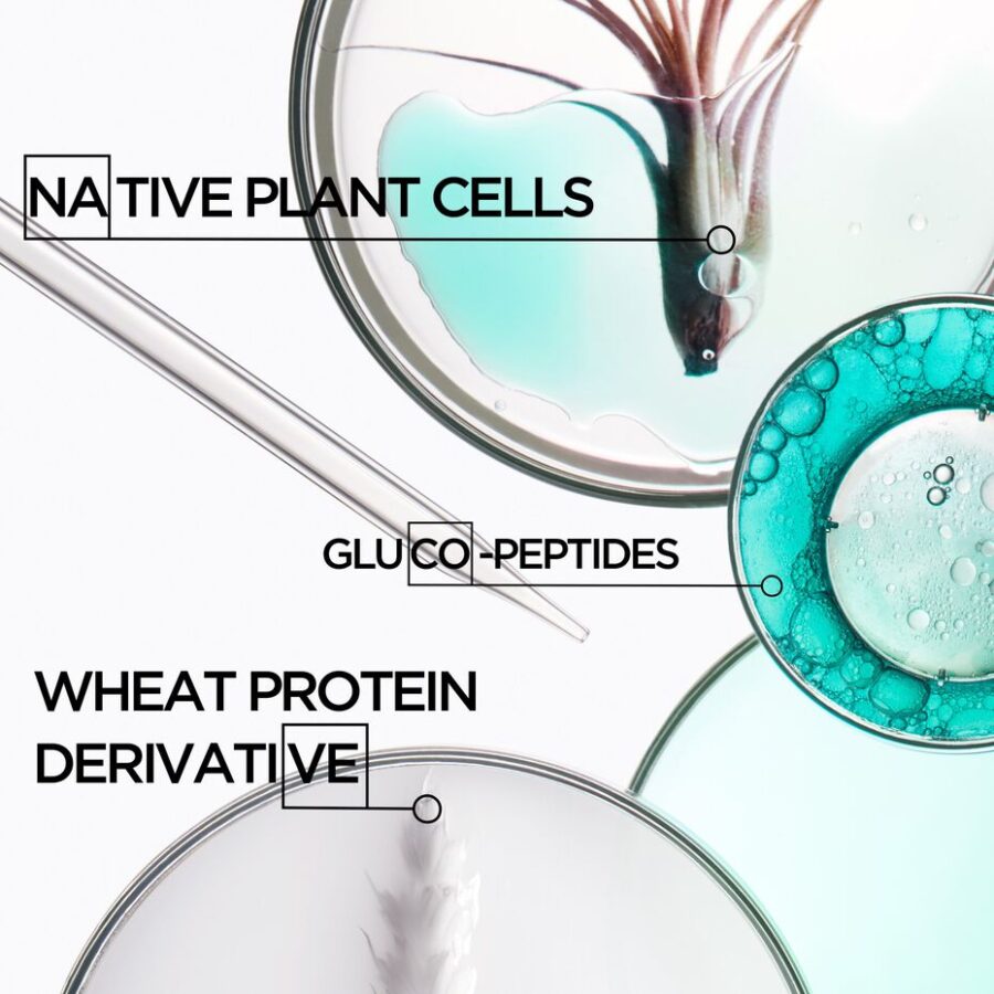 Microscopic view of cells and compounds with labeled native plant cells, glucoproteins, and wheat protein derivative.