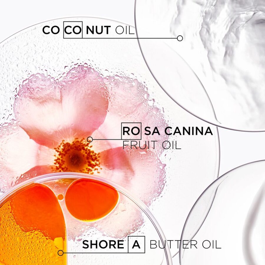 Three cosmetic ingredients displayed in petri dishes: Shore A Butter Oil, Rosa Canina Fruit Oil, Coconut Oil